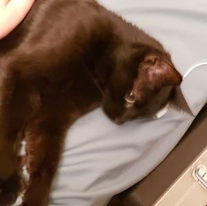 Meet your Posher, Riley